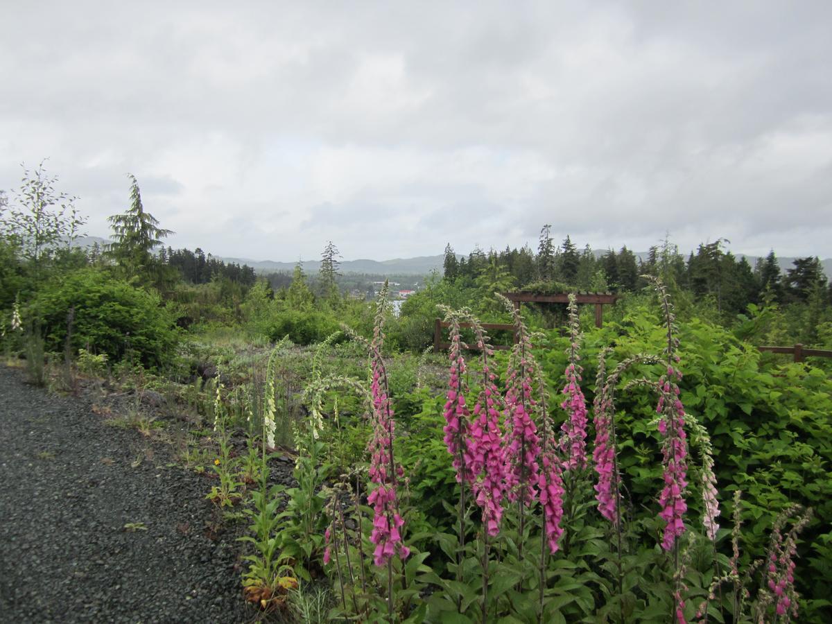 Hotel Ecoscape Cabins Port Hardy Exteriér fotografie